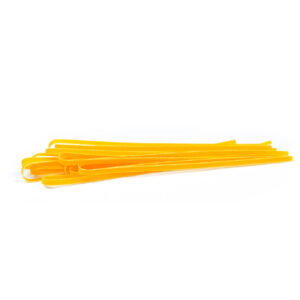 Tagliatelle Alla Zucca